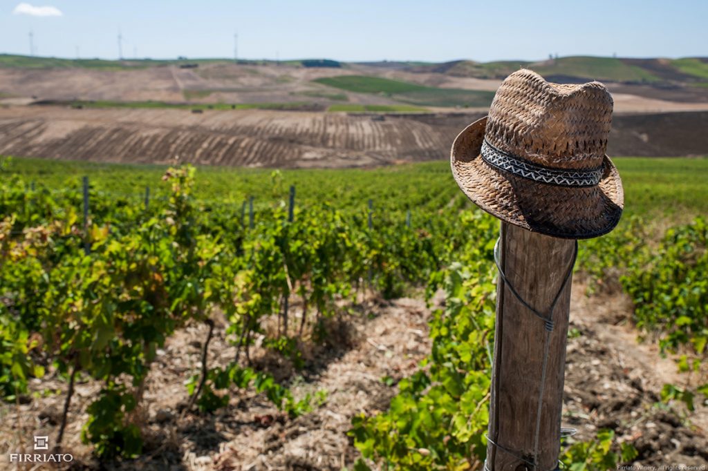 Firriato Winery - Authentic Terroir