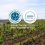 FIRRIATO, THE FIRST SICILIAN WINERY TO BE CARBON NEUTRAL