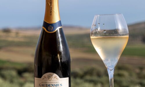 DSCF5046_&copy; Benedetto Tarantino