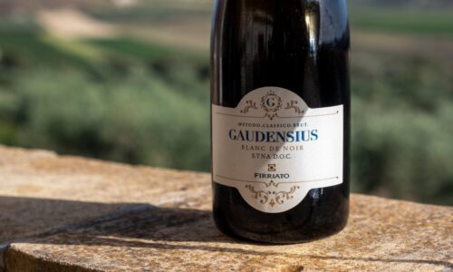 DSCF5051_&copy; Benedetto Tarantino